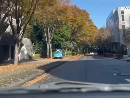 色づいた木々が並ぶ茅ヶ崎公園の横の道