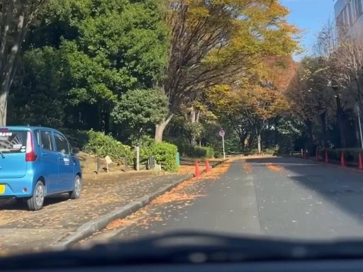 茅ヶ崎公園の横に停まる、みよみよ看護の水色の訪問車
