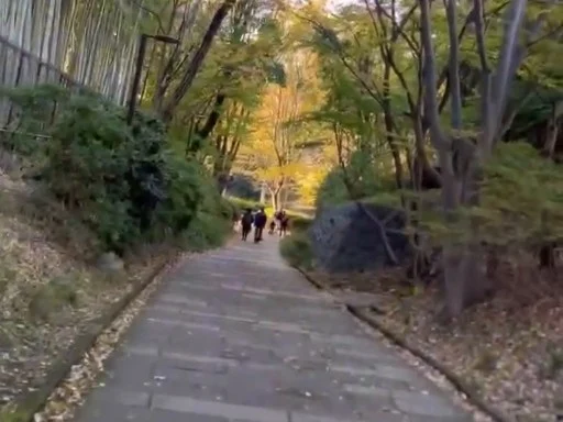 木々に囲まれた都筑区の緑道